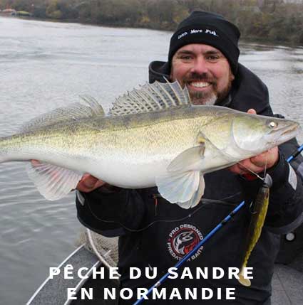 Guide de pêche au sandre en Normandie